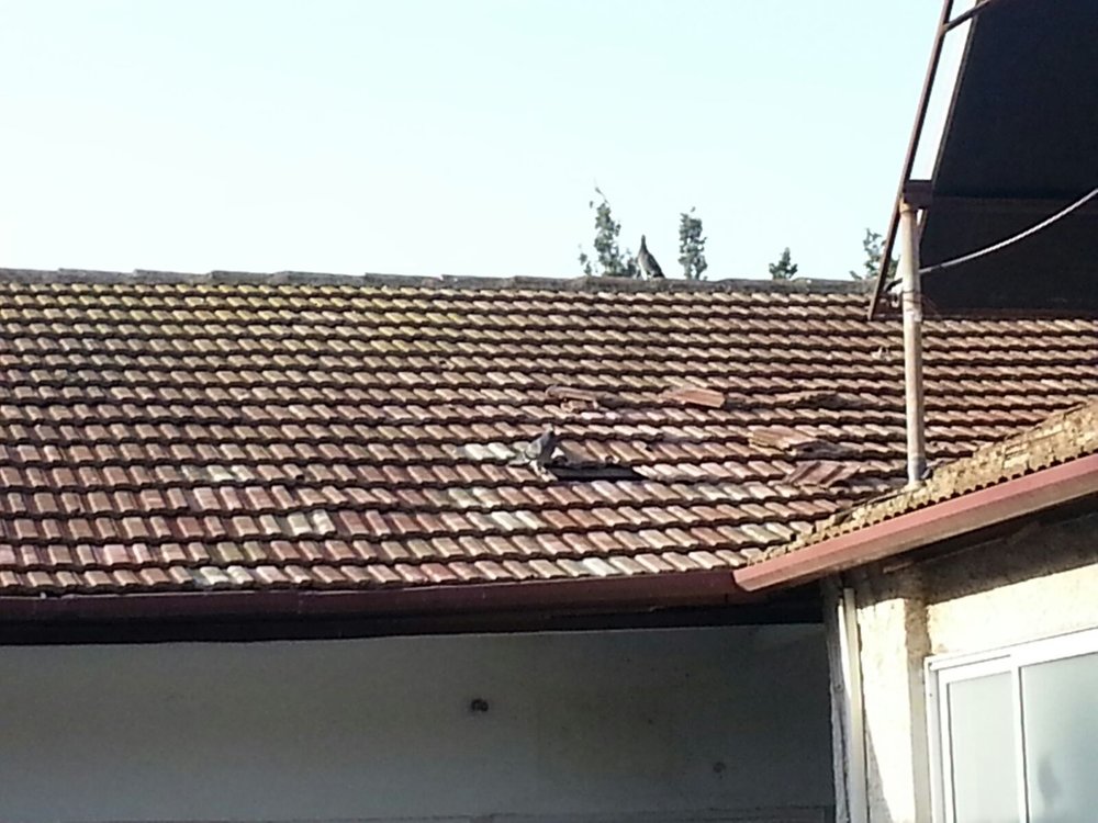 IMG-20151026-WA0007.jpg