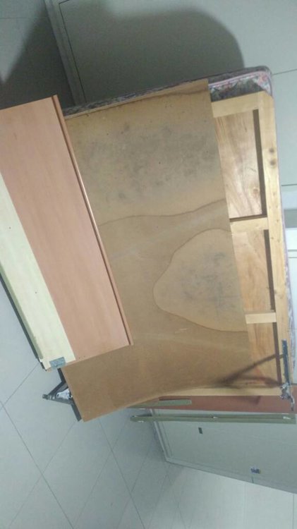 IMG-20180620-WA0111.jpeg
