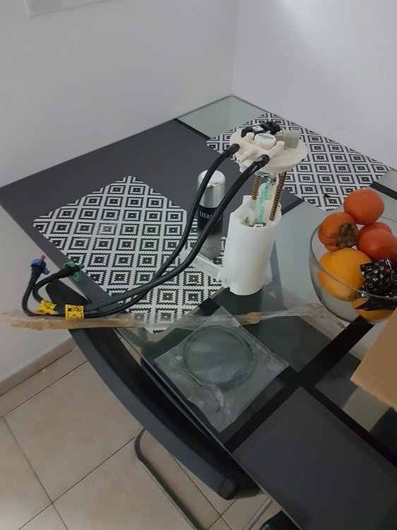IMG-20181206-WA0040.jpg