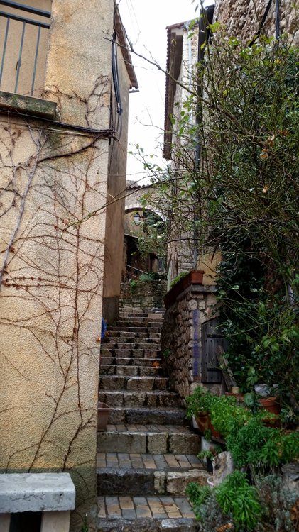 IMG-20190201-WA0106.jpg
