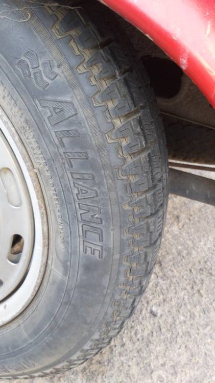 IMG-20191129-WA0024.jpg