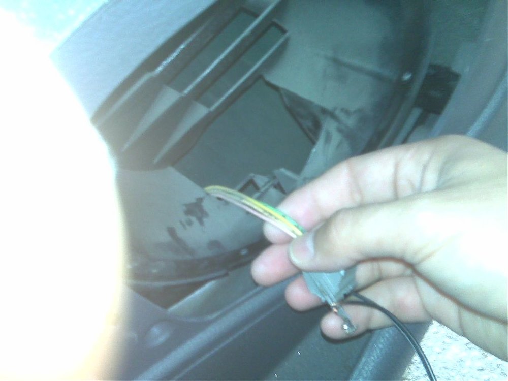 IMG00021.jpg