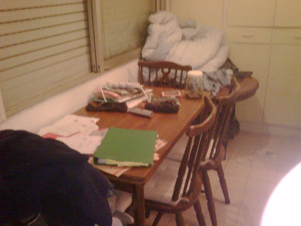 IMG00086-20101107-0404.jpg