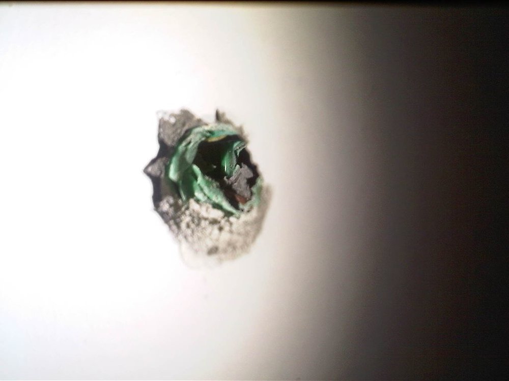 IMG00296-20100803-1954.jpg