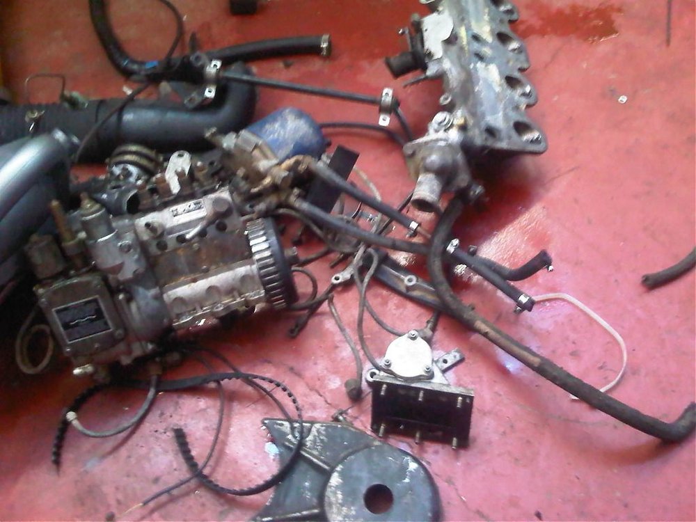 IMG00326-20111017-1503.jpg