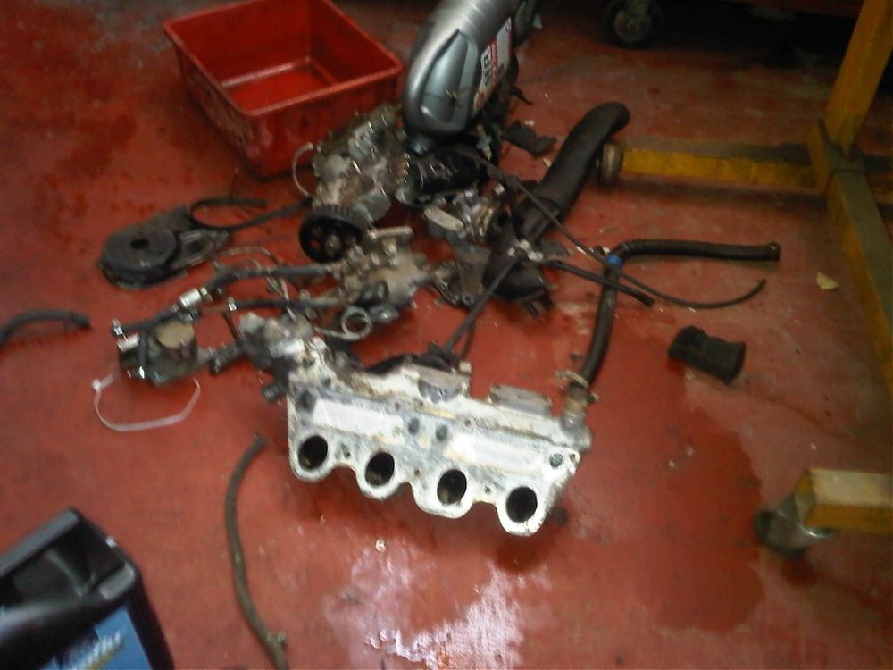 IMG00332-20111017-1555.jpg