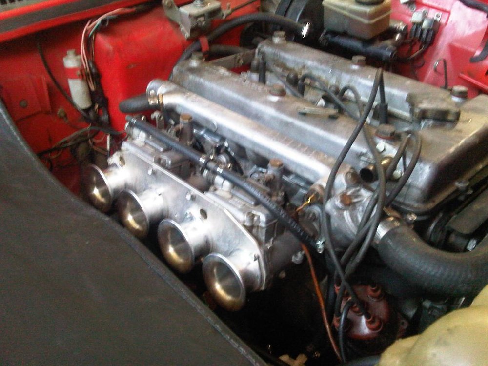 IMG00333-20111017-1555.jpg