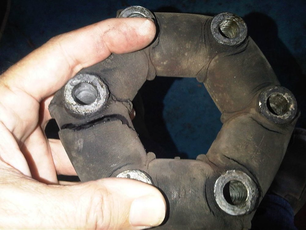 IMG00342-20111019-1238.jpg