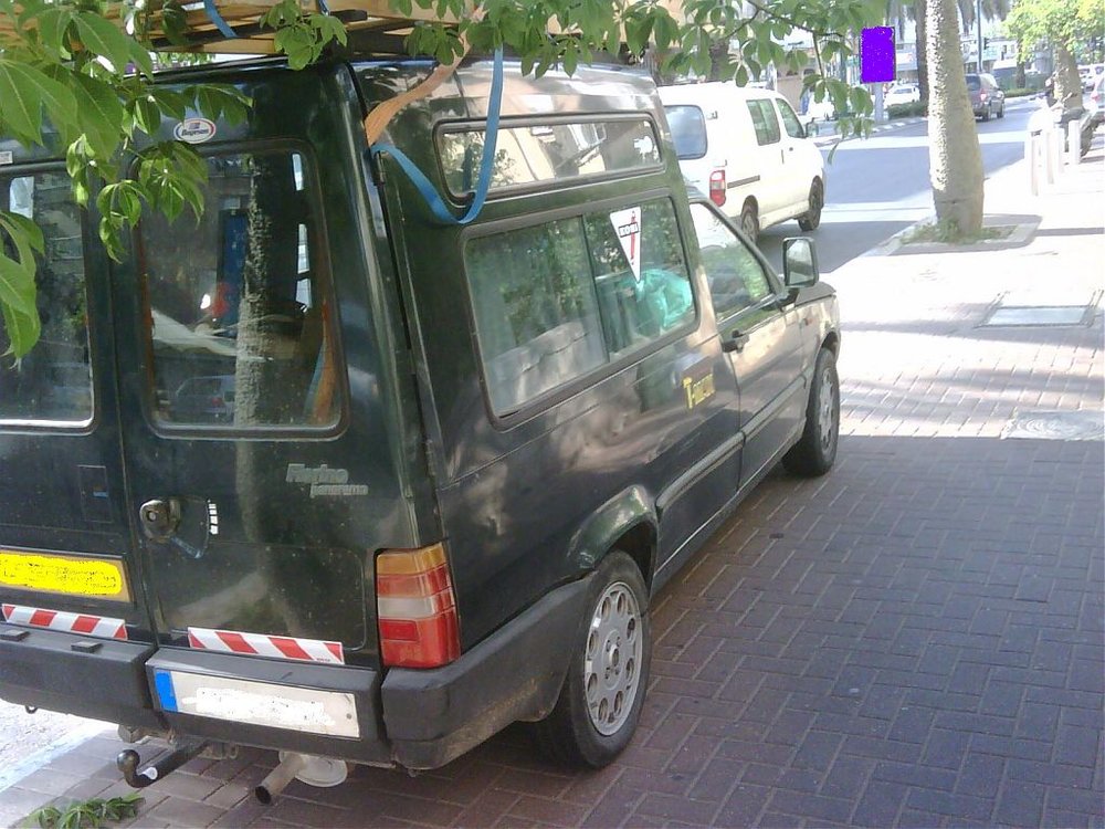 IMG00415-20110601-1719.jpg