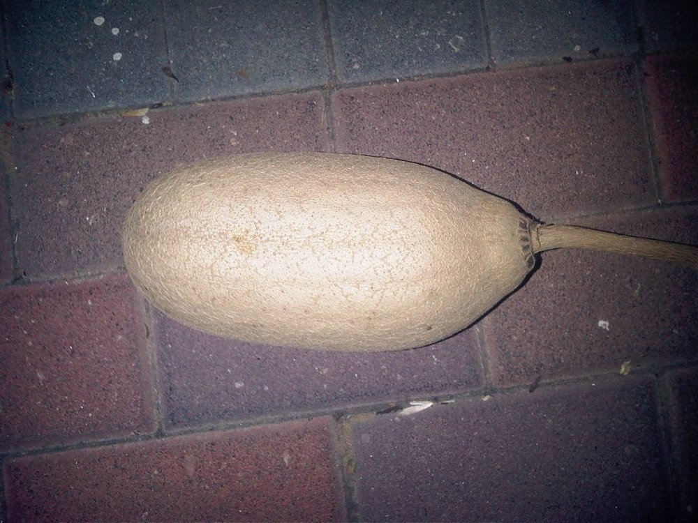 IMG00544-20111214-2008.jpg