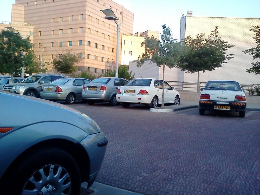 IMG150.jpg