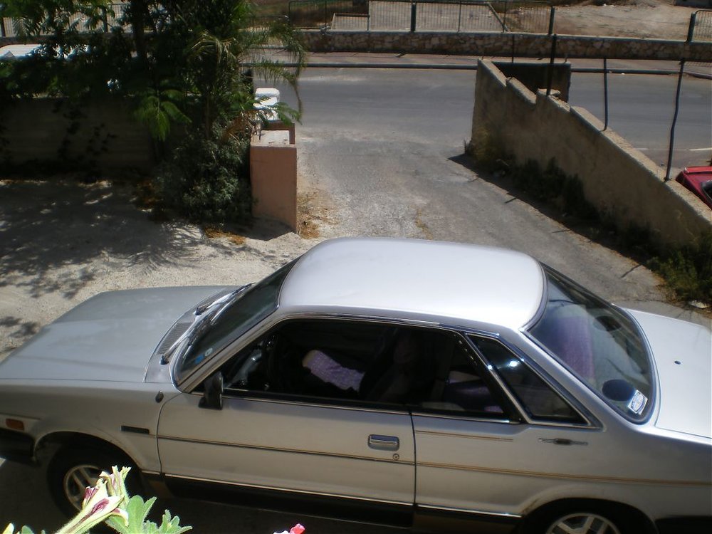IMGP1463.jpg