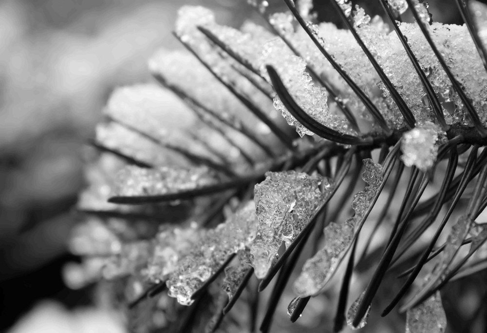 IMG_0355-Edit.jpg