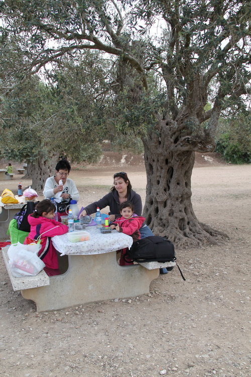 IMG_0388_resize.jpg