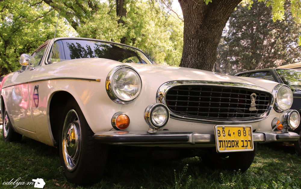 IMG_0747.jpg