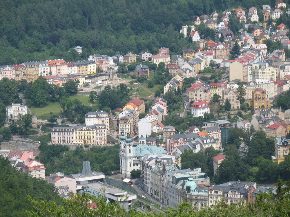 IMG_1113.jpg