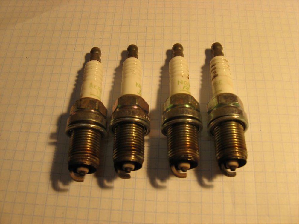 IMG_1206.jpg