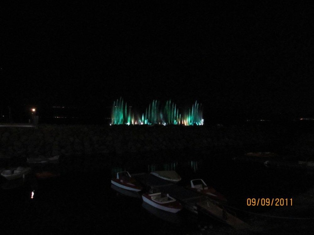 IMG_1242.jpg