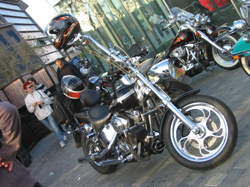 IMG_1333.jpg