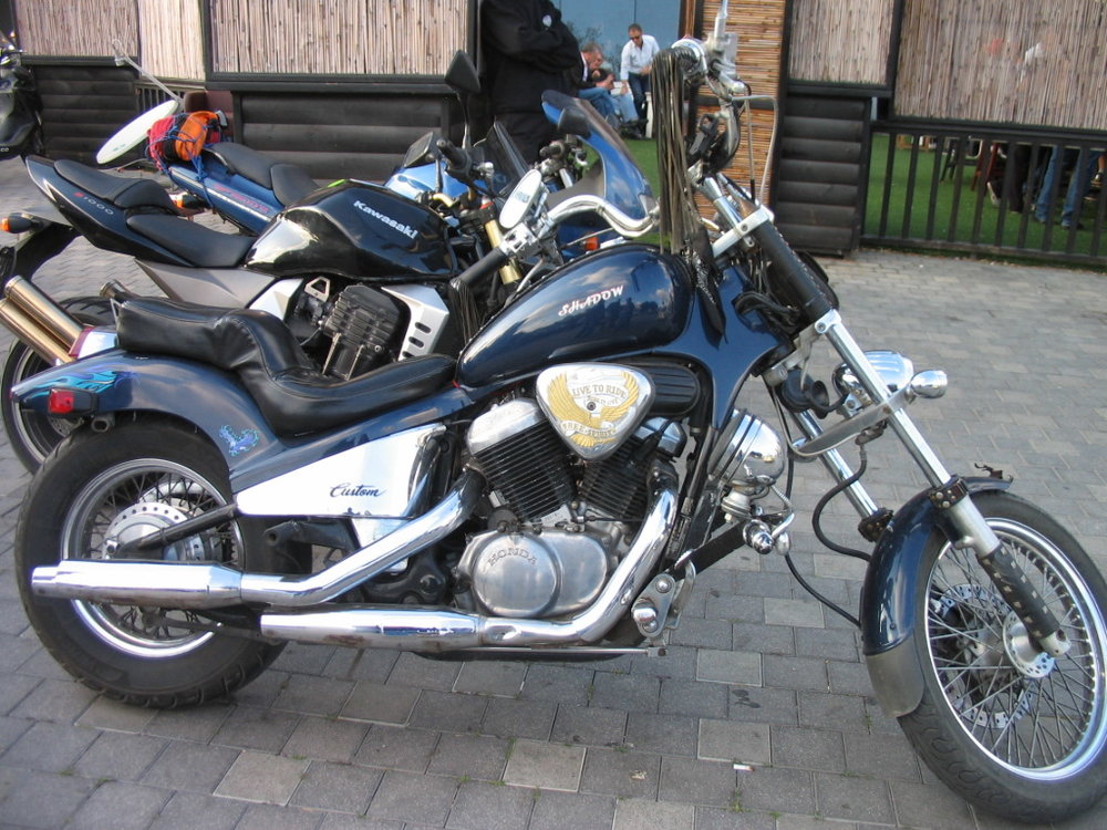 IMG_1336.jpg