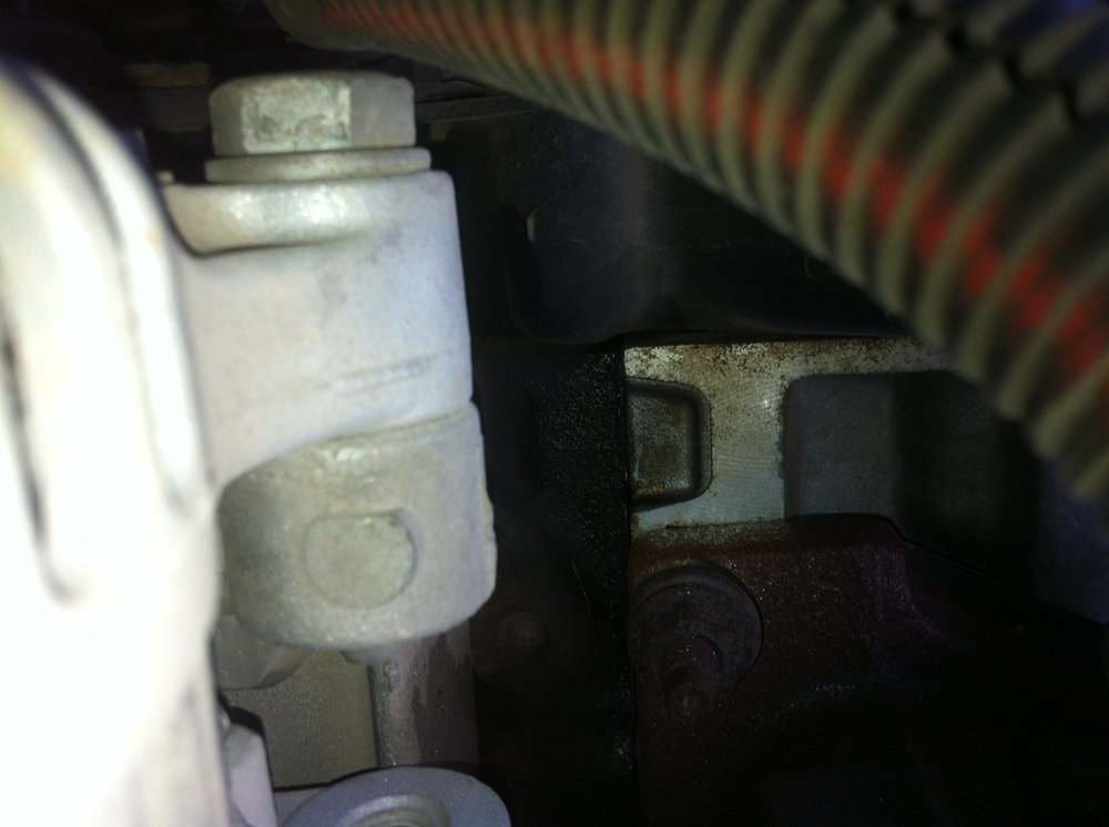 IMG_1578.jpg