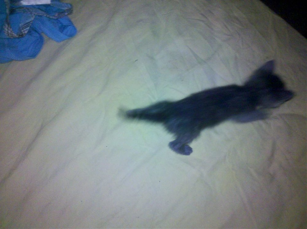 IMG_20120610_193517.jpg