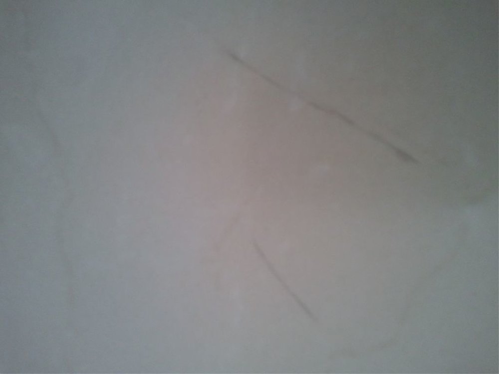 IMG_20130326_115938.jpg