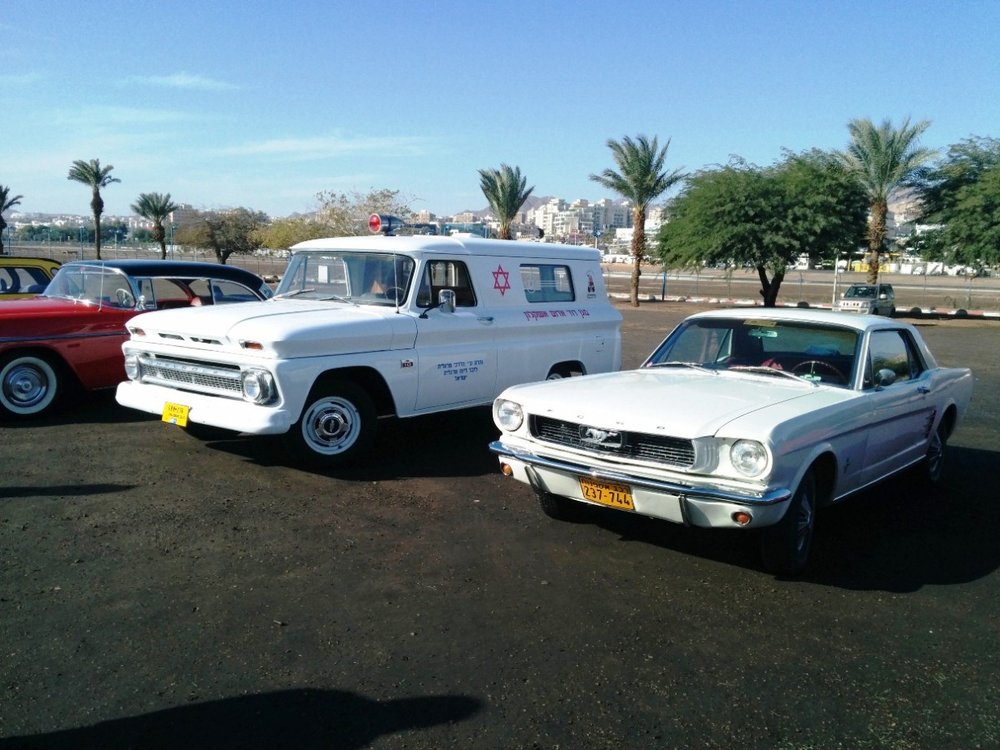 IMG_20131220_094204.jpg