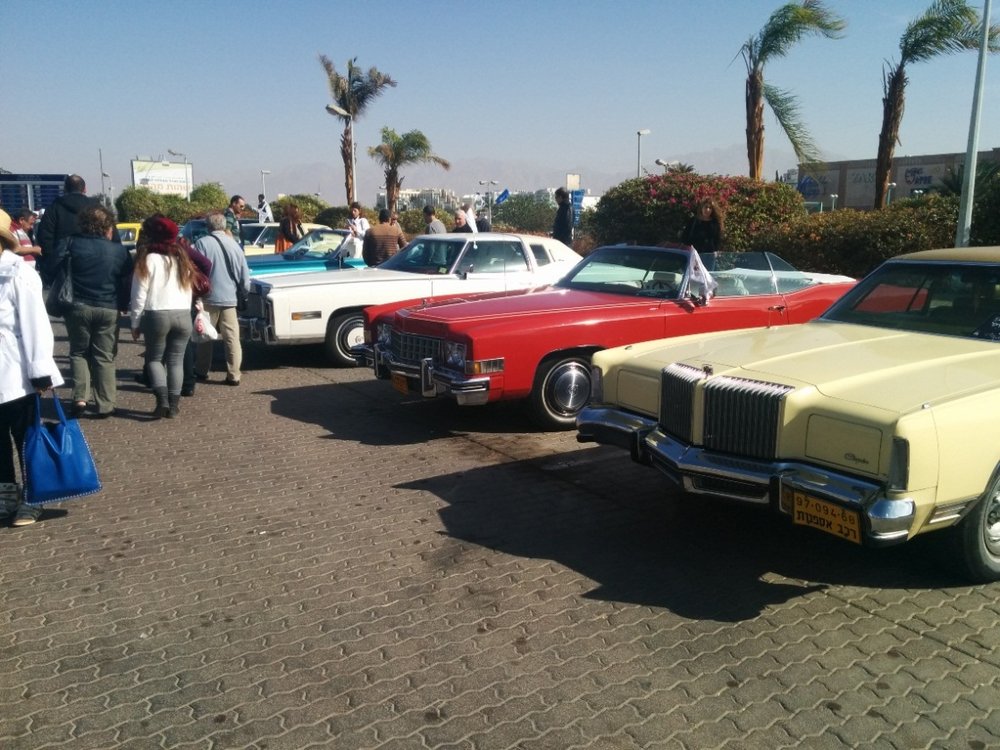IMG_20131220_104044.jpg