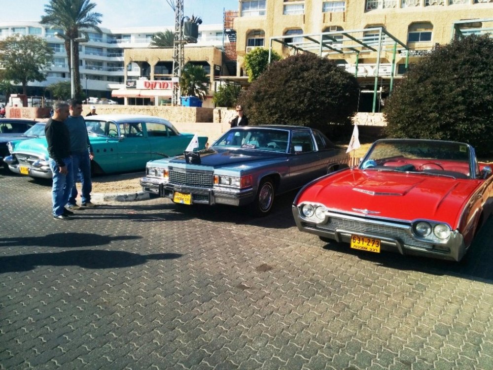 IMG_20131220_104725.jpg