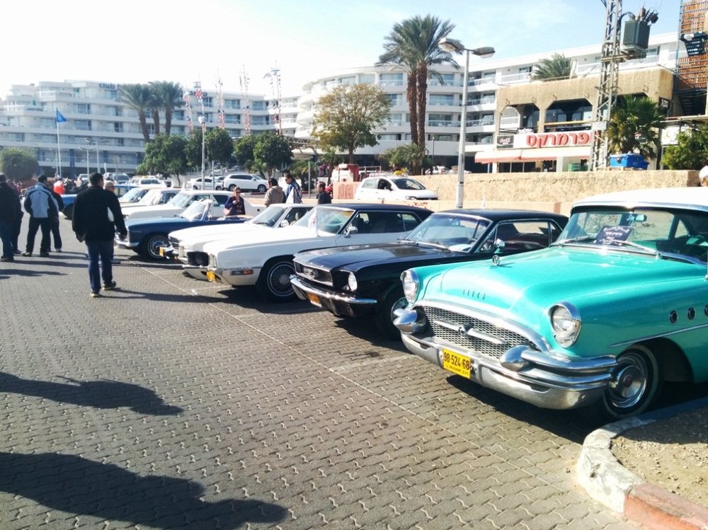 IMG_20131220_104804.jpg