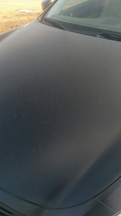 IMG_20141017_165700.jpg