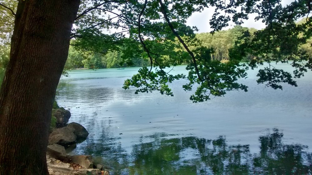 IMG_20170825_145110394_HDR.jpg