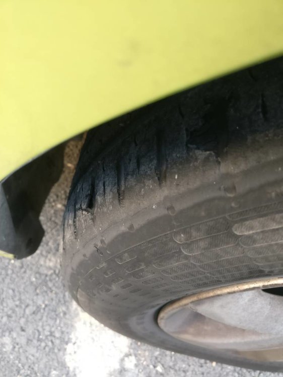 IMG_20180203_165122.jpg