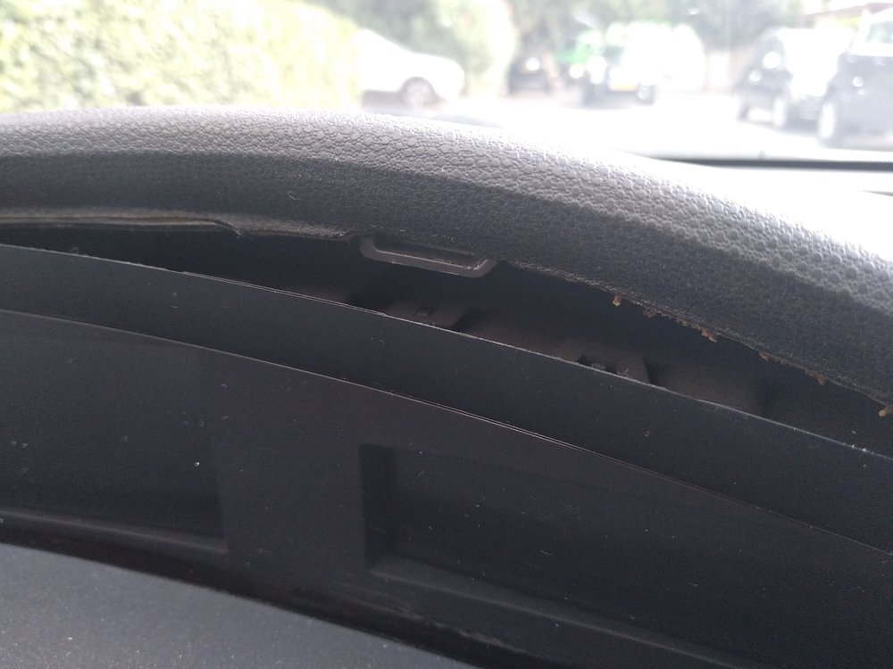 IMG_20180808_084225.jpg