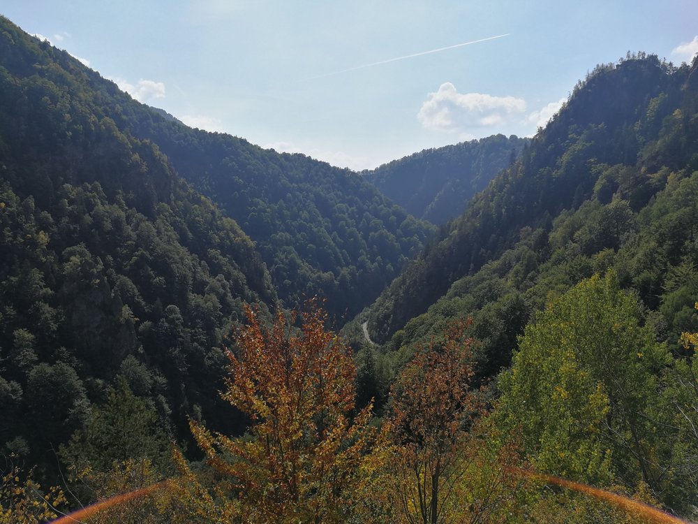 IMG_20180918_122359.jpg