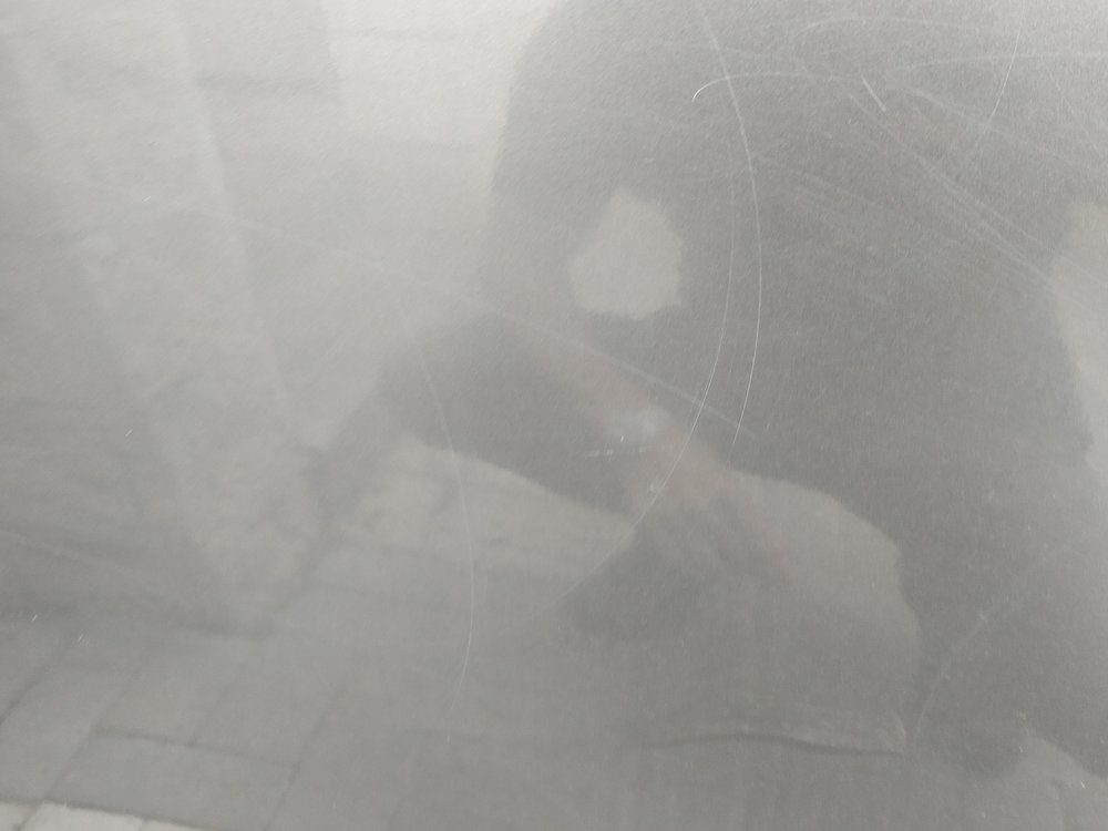 IMG_20181127_080722.jpg