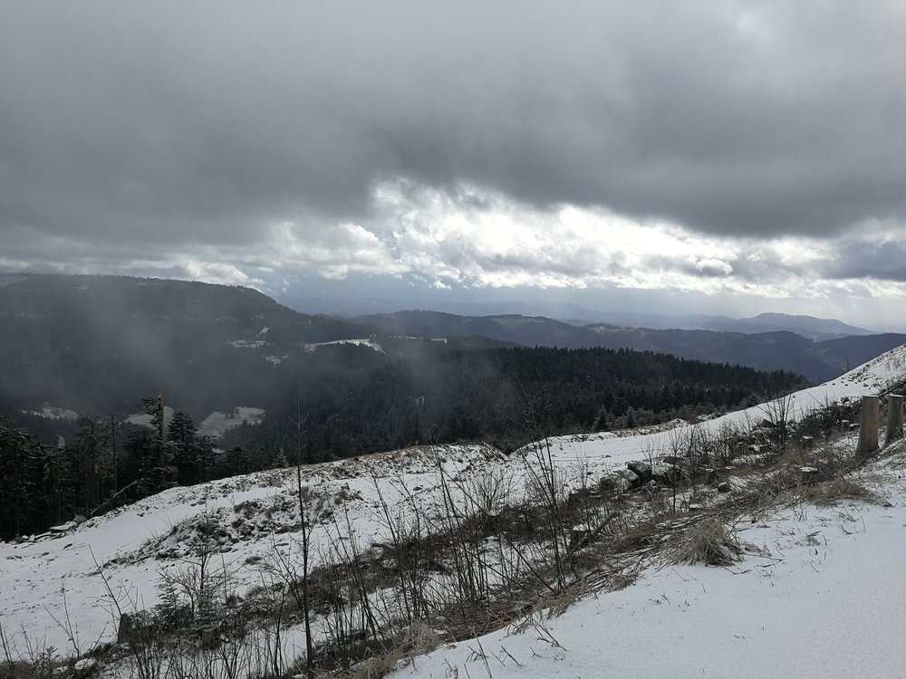 IMG_20190311_141749.jpg