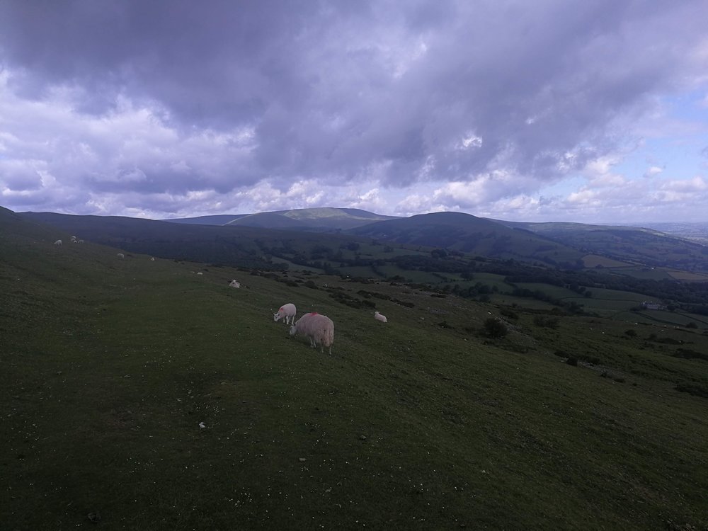 IMG_20190621_091903.jpg