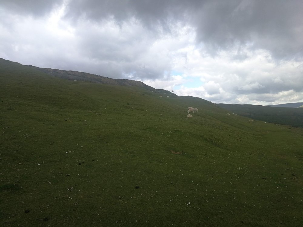 IMG_20190621_091941.jpg