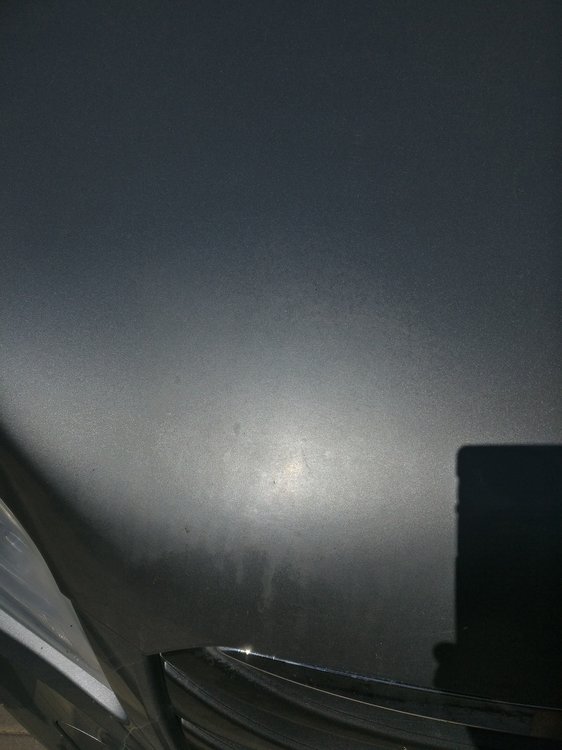 IMG_20190830_104308.jpg