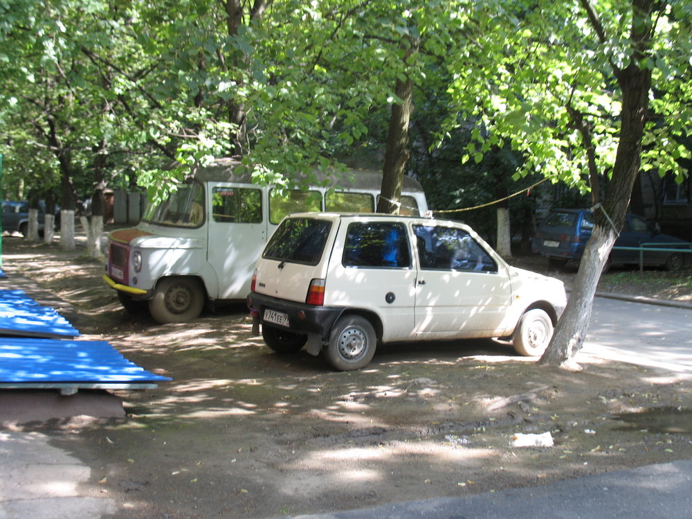 IMG_2857.jpg