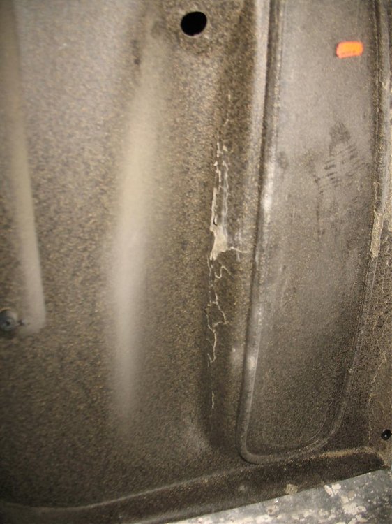 IMG_3143.jpg