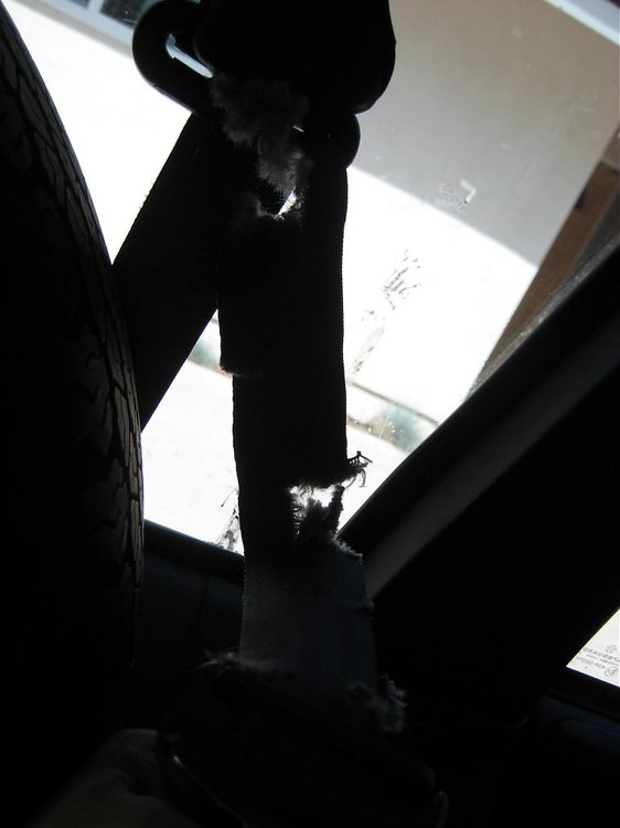IMG_3235.jpg