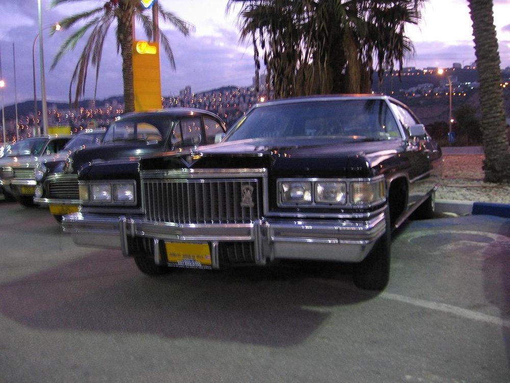 IMG_3563.JPG