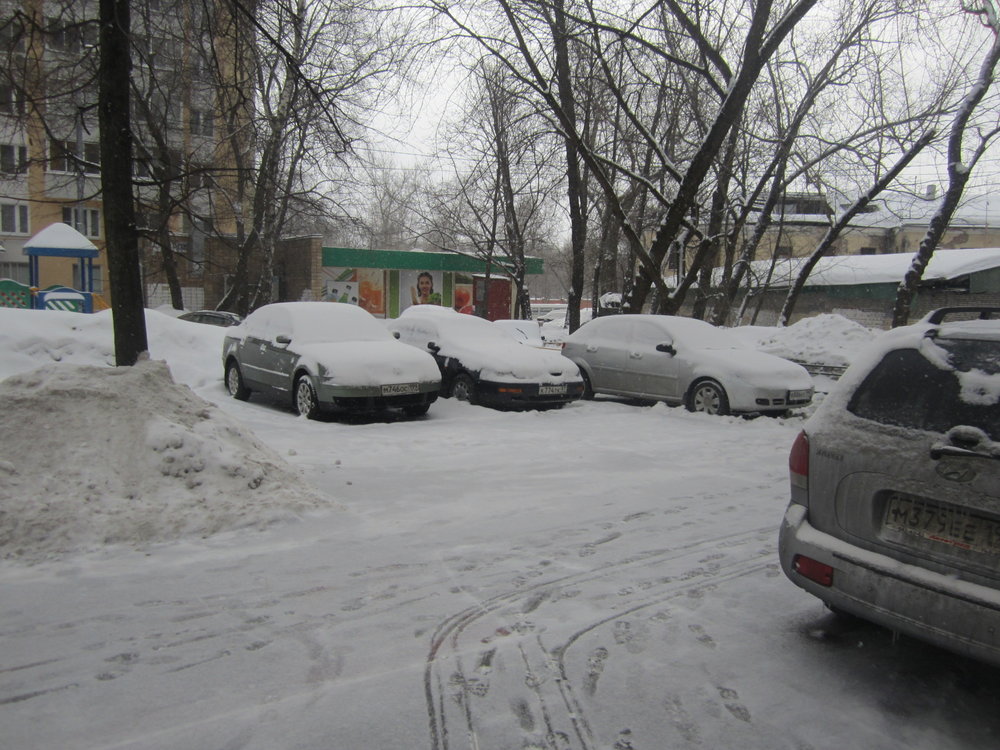 IMG_3882.jpg