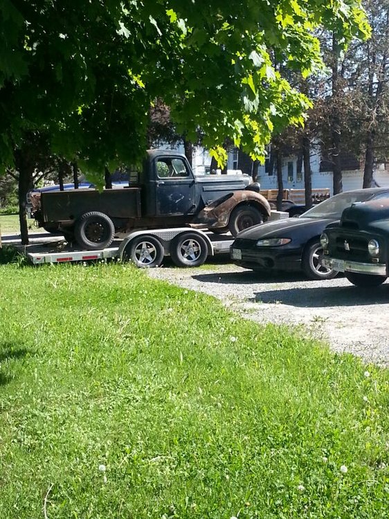 IMG_3905.JPG