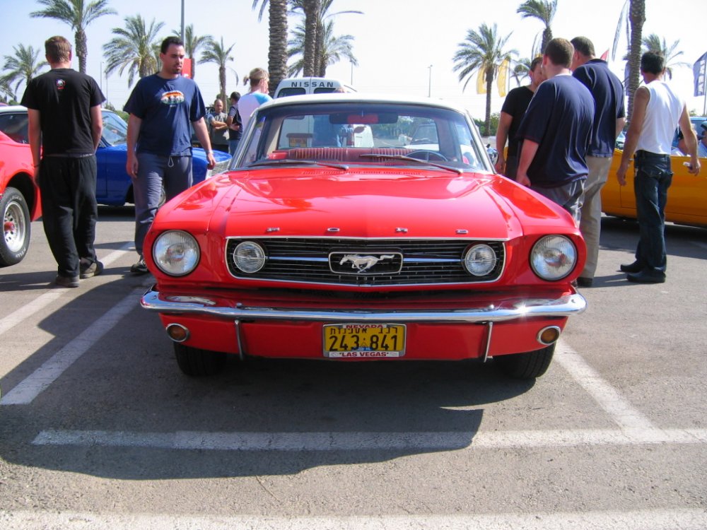 IMG_3912.jpg