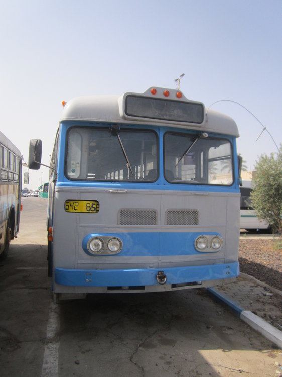 IMG_3913.jpg