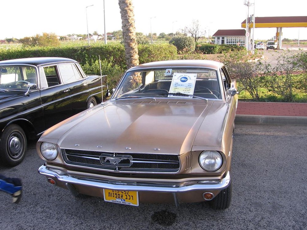 IMG_4559.JPG